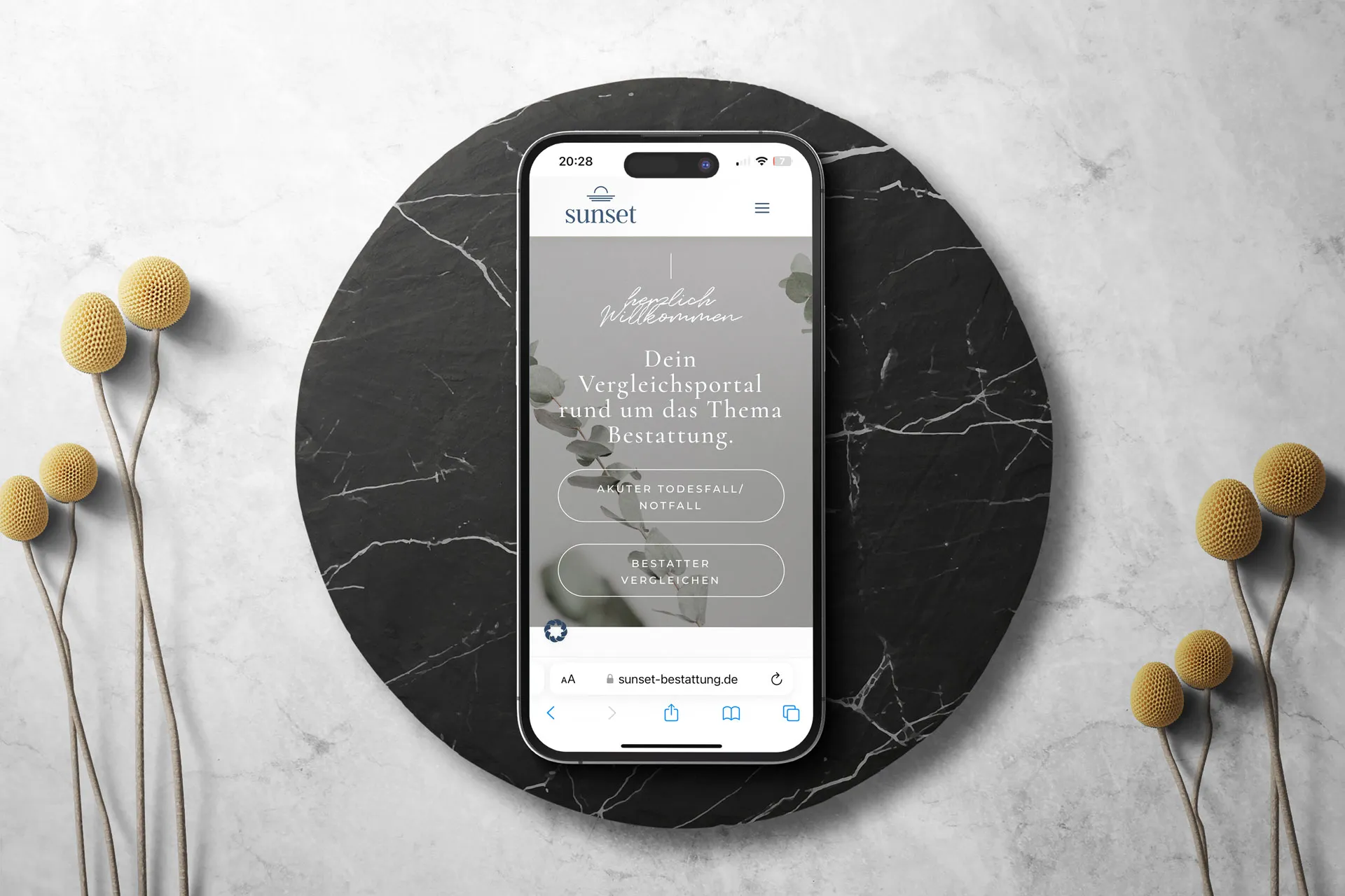 Webentwicklung und Marketing bei product.republic in Potsdam